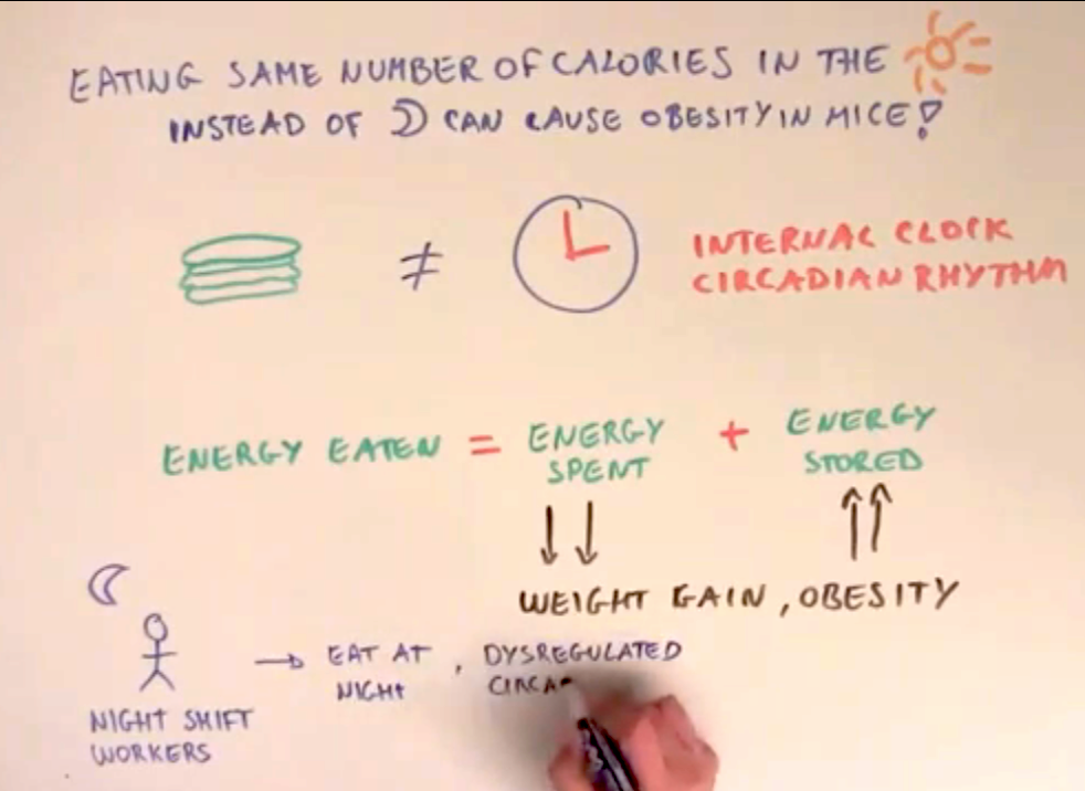 The clock that tell you it's lunch time The clock that tell you it's lunch time
