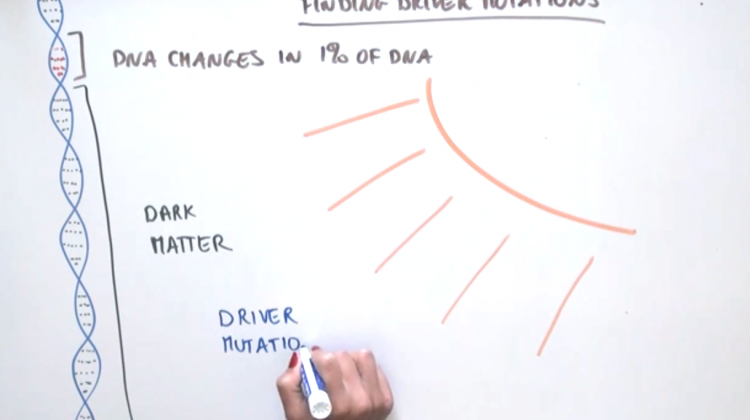 Shedding Light on the DNA’s Dark Matter Shedding Light on the DNA’s Dark Matter