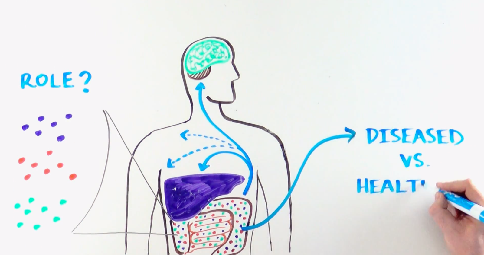 Enterome microbiome picture Enterome microbiome picture