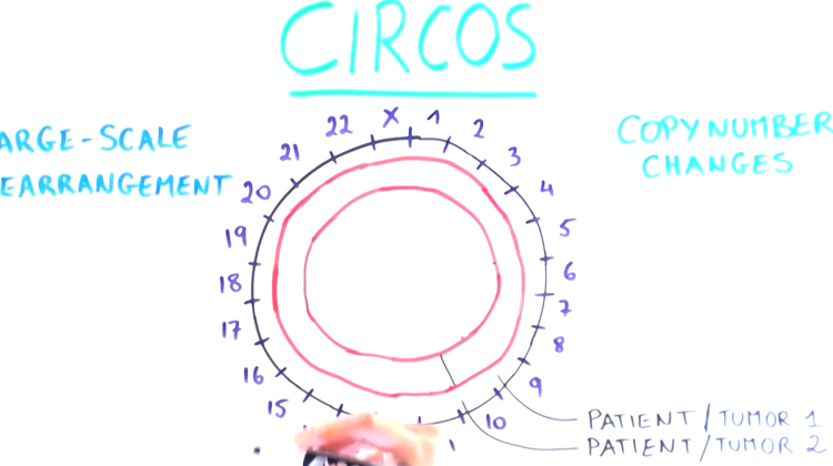 Our Genome in a Circle Our Genome in a Circle