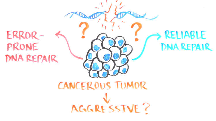Keeping Score: A new way to identify winners and losers in tumor genetics Keeping Score: A new way to identify winners and losers in tumor genetics