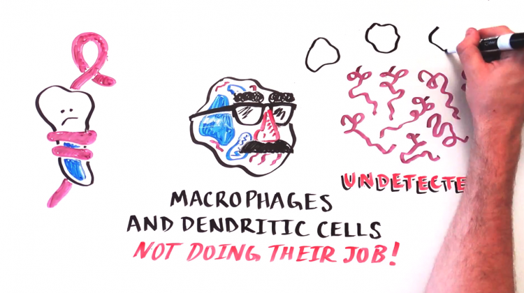 Explaining Ebola: The science behind the outbreak Explaining Ebola: The science behind the outbreak