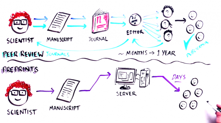 What are preprints? What are preprints?