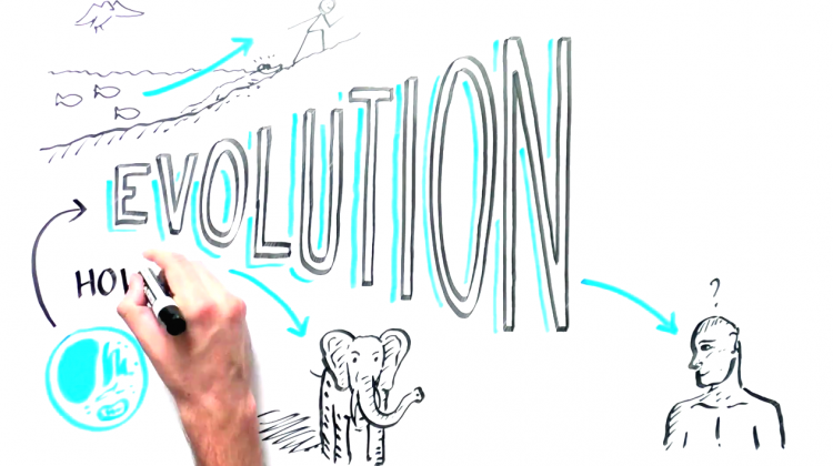 How We Evolved From Single Cell Organisms How We Evolved From Single Cell Organisms