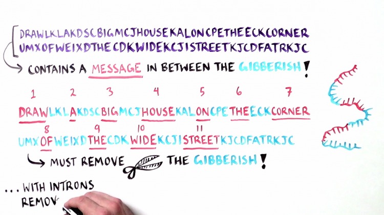 Cut and Paste: Explaining RNA Splicing Cut and Paste: Explaining RNA Splicing