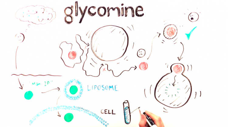 Designing a Potential Treatment for PMM2-CDG Designing a Potential Treatment for PMM2-CDG
