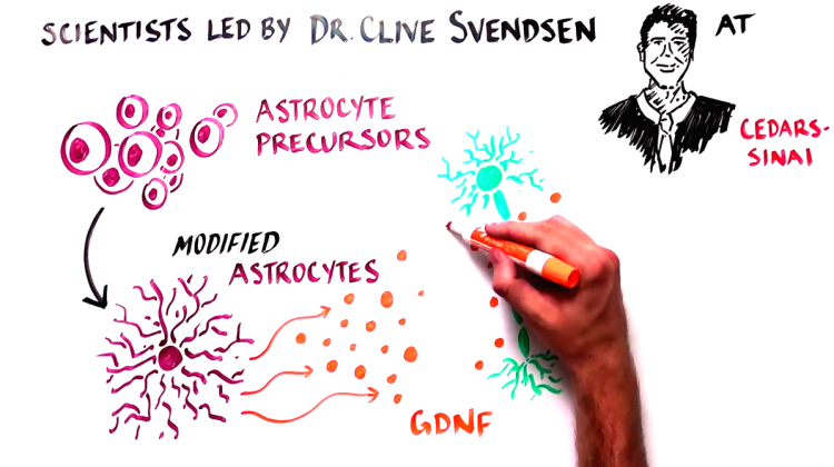 Progress and Promise of Stem Cell Research: Lou Gehrig’s Disease/ALS Progress and Promise of Stem Cell Research: Lou Gehrig’s Disease/ALS