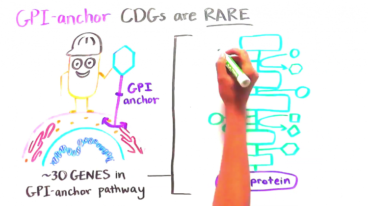 What is PIGA-CDG? What is PIGA-CDG?
