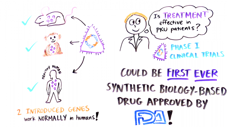 Bugs as Drugs Bugs as Drugs